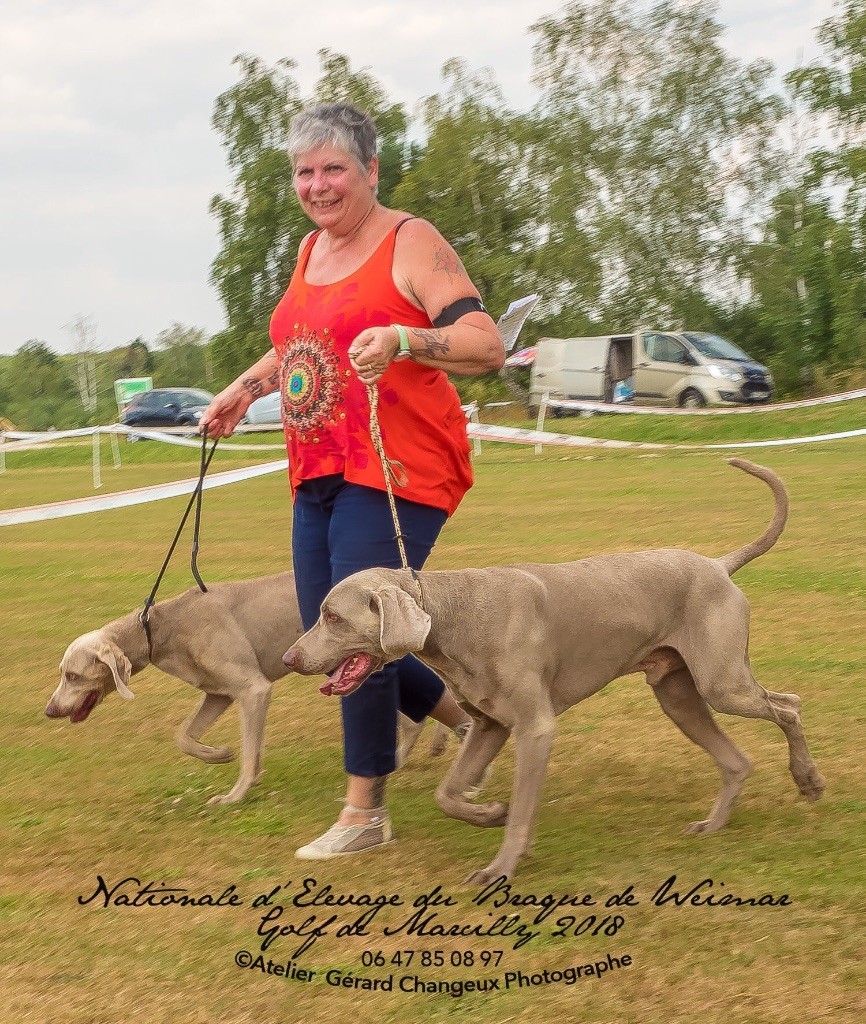 Nationale d?elevage 8 juillet 2018 